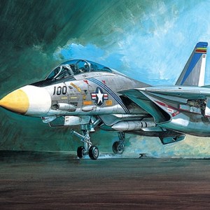 1/48 F-14A 톰캣 전투기 프라모델 (12253), 본상품선택, 1개