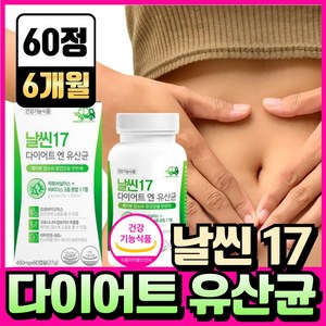 BNR17 비에날씬 유산균 다이어트 bn17 식약청인증 캡슐 비엔알17 / 날씬17 다이어트 엔 유산균, 12개, 60정