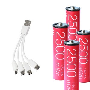 WINZONE USB C타입 충전 배터리 충전 건전지 AA 1.5V 1700mAh (2500mWh) 4P세트/동시충전 케이블/Li-ion, 4개