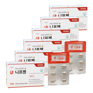 니프젠 스파이크 프리미엄 600mg, 30정, 6개