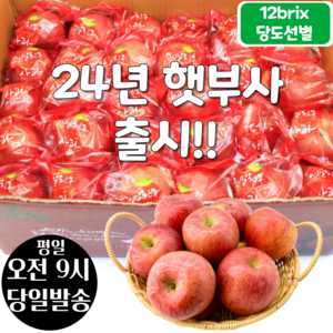 [오전8시 주문건 당일발송] 12브릭스 당도선별 세척사과, 10kg (40~50입), 1개