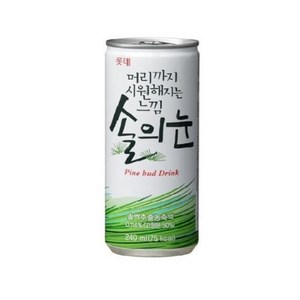 롯데칠성음료 머리까지 시원해지는 느낌 솔의눈, 240ml, 13개