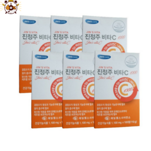 진정주 비타C1000 x 1100mg 600정 진정주몰, 100정, 6개