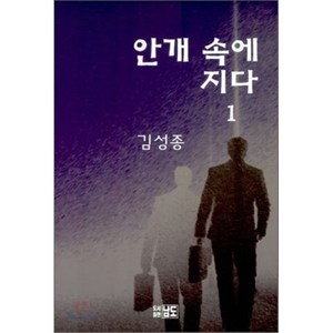 안개 속에 지다 1, 남도, 김성종 저