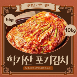 l 품담식품관 l 안동 학가산 정품 포기김치 (일반) 당일발송 l 아이스박스포함, 10kg, 1개, 기본박스x포기김치