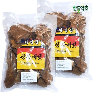 상황버섯 500g, 2팩, 1개