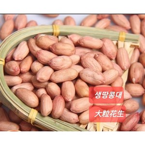 [신중국식품]생땅콩 중국산생땅콩큰알(대), 1개, 생땅콩(대)500g