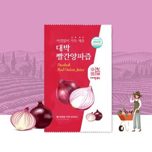 국내산 자색양파 대박자색양파즙 100ml 100포, 100개