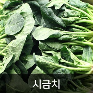 약수농장 시금치 4kg, 1박스