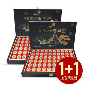 종근당건강 황보환 60환 1+1개, 1개, 225g