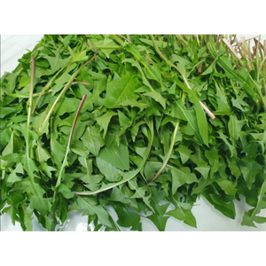 생민들레잎 민들레나물 500g 1kg [원산지:국산], 1개