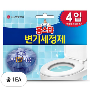 홈스타 변기 세정제 고체형 4개입, 160g, 1개