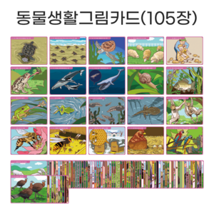 아이다보아 이야기그림카드 / 유아활동 교구 언어 발달 치료 상황 인과오류 그림 카드 사고력 언어적 표현능력 증진 추론 이해 의사소통 촉진, 동물생활(105장), 1개