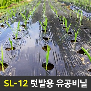 세원비닐 텃밭용 멀칭비닐 10m 20m 소량판매 마늘 양파 고추비닐, 흑색, 1개