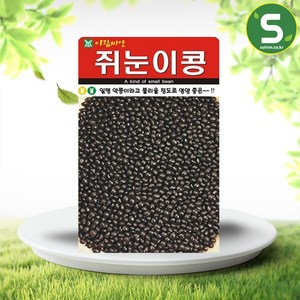 솔림텃밭몰 쥐눈이콩씨앗 30g 쥐눈이콩 약콩 콩씨앗 서목태, 1개