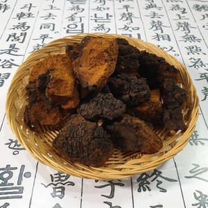 산약초이야기 시베리아 자작나무 차가버섯 차가 300g, 1개