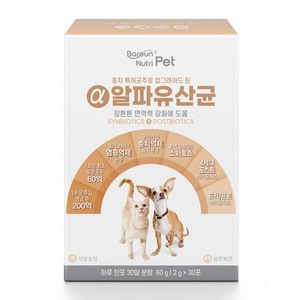 바른영양 반려동물 영양제, 장건강/유산균, 60g, 1개