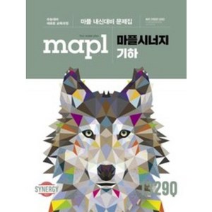 2025 마플시너지 기하 : 마플 내신대비 문제집, 희망에듀