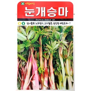 눈개승마 500립 아람 25년 눈개승마씨앗, 1개