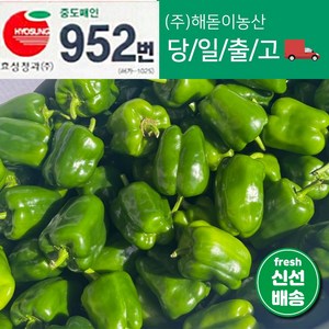 해돋이농산 국내산 청피망 초록피망 못난이피망 1kg 2kg 3kg 5kg 10kg, 1개