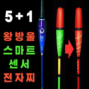 전자찌 5+1 스마트 센서전자찌 CR425 왕방울 민물 낚시 올림찌 입질감지 붕어낚시, 3호, 1개