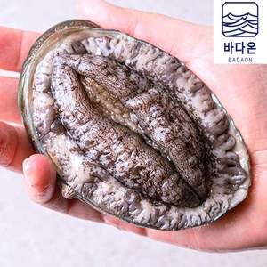 바다온 완도활전복 10-11미 1kg(마리당90g내외) [산소팩 무료배송], 1개, (5호) 10-11미1kg