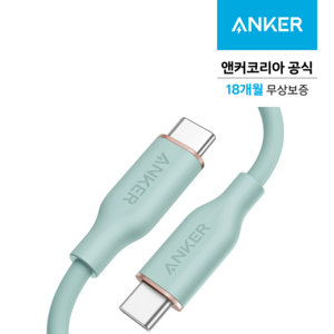 앤커 파워라인3 플로우 USB-C to C 케이블 180cm, 민트 그린, 1개