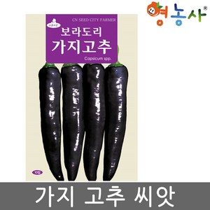 가지고추 씨앗 10립 자색 고추씨앗 보라도리, 1개