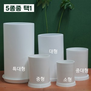 분갈이 인테리어에 좋은 소형 중형 대형 플라스틱 원형 화분 5종 중 택1, 1개