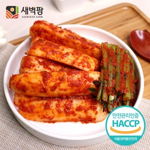 새벽팜 총각김치 국내산 100% 전라도김치 참매실 새벽김치, 2kg, 1개