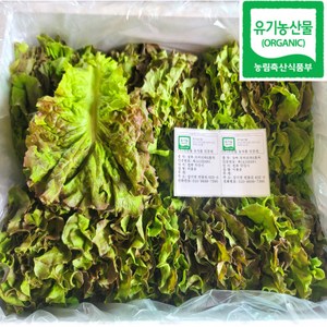 100% 유기농 친환경 꽃상추 800g, 800g (1개), 1개