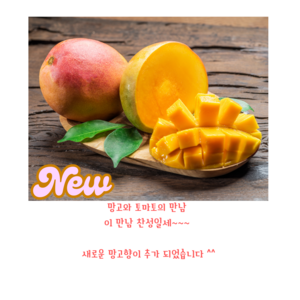 방울토마토 스테비아 500g + 500g 2팩 / 4팩, 4세트, 망고향 500g
