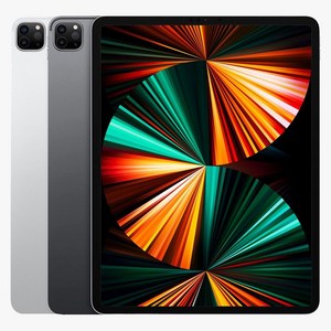 Apple 아이패드 프로 12.9 5세대 M1칩, 실버, 256GB, Wi-Fi+Cellular