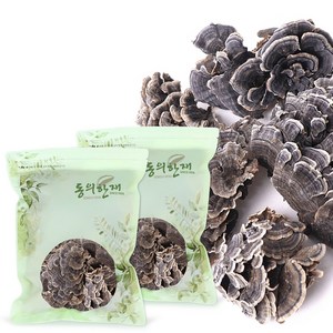 동의한재 자연산 국산 운지버섯 구름버섯, 500g, 2개