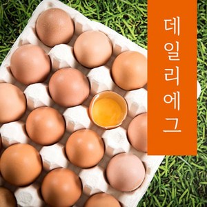 신선한 무항생제 대란, 30구, 1개