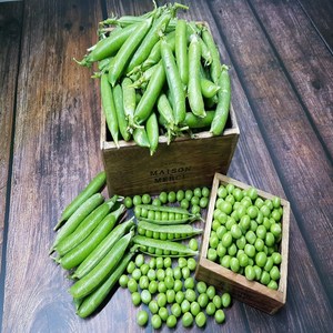 [산지농가직송]충남서산 완두콩 햇 완두콩3kg, 1개, 3kg