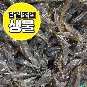 [흑새우] 국내산 민물새우 급냉 500g / 1kg 새뱅이 한국인의밥상 정림새우농장 줄새우 토하 김치양념 새우탕 새우깡, 1개, 급냉) 검정줄새우 500g