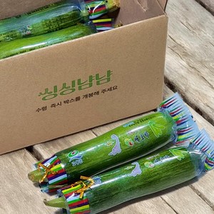 싱싱냠냠 국내산 인큐애호박 햇 애호박, 5개, 가정용