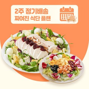 [포켓샐러드] 2주 샐러드 정기배송/ 짜여진 식단 주5일 / 매일 다양하고 맛있는 식단 관리 (총10팩), 245g, 10개