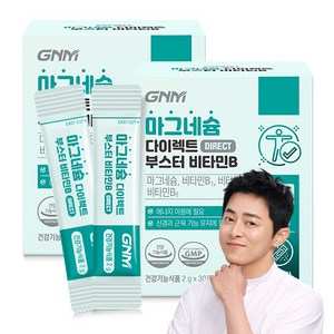 [레몬맛] GNM 마그네슘 다이렉트 부스터 비타민B 30포 x 2박스 / 산화마그네슘 쌀마그네슘 이지멜팅 분말, 60g, 2개