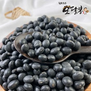 힘찬농부오달봉 국산 서리태 속청 검은콩, 1개, 10kg(5kg 2봉)