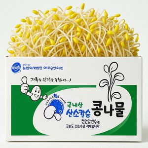 [ 평점 4.8이상 무농약 인증] 생산 콩나물 국산콩 산소 콩나물, 5kg, 1박스