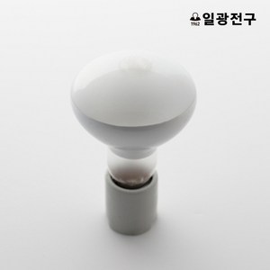 일광 반사구 100W 파충류 스팟조명 열전구 발열전구 히팅램프, 전구색, 1개