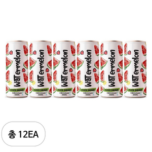 RFC 수박 주스, 320ml, 12개