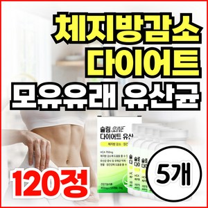 bn17 비엔날씬 bm17 유산균 다이어트 보조제 비에날씬 알약 / 비피더스 유산균 체지방감소 모유 유래 유산균 L 프롤린 락토바실러스 가세리 가르시니아, 5개, 120정