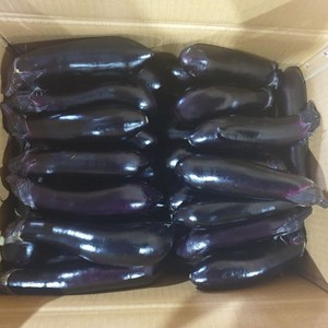 클릭마켓 국내산 햇 가지 1kg, 1개