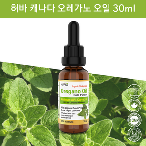 오레가노 오일 30ml Cavacol 80% 허바 캐나다, 1개