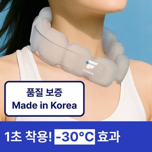 핏츠런 [국내산] 넥쿨러 아이스 넥밴드 얼음목걸이, 1개, 화이트