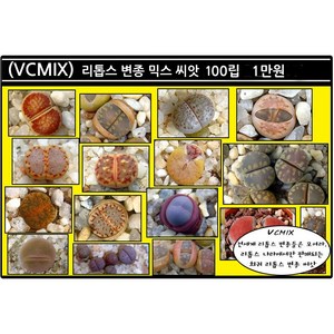 리톱스 나라 씨앗, 1개