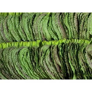 [GAP인증]열음농장 밀양깻잎 당일수확 당일출하 농장직송, 2kg, 1개